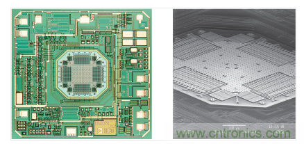  ADXL202 &plusmn;2 g加速度計。