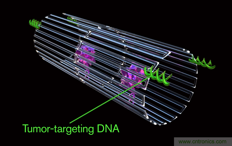 中美科學家聯(lián)手，用DNA納米機器人殺死癌細胞
