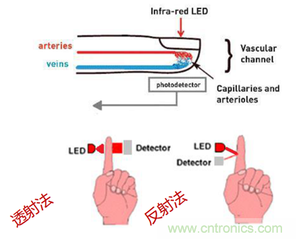 從光學(xué)模塊到系統(tǒng)構(gòu)建來解決，如何實(shí)現(xiàn)光學(xué)體征信號監(jiān)測？