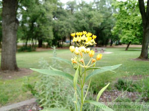 無數(shù)的拍攝，只為成就一個(gè)完美回憶