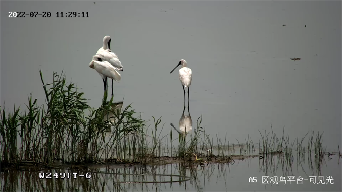 ?？低暟l(fā)布2022年ESG報(bào)告：科技為善，助力可持續(xù)的美好未來