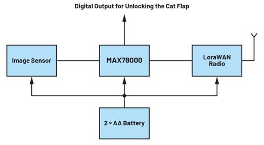 卷積神經(jīng)網(wǎng)絡(luò)的硬件轉(zhuǎn)換：什么是機器學(xué)習(xí)？——第三部分